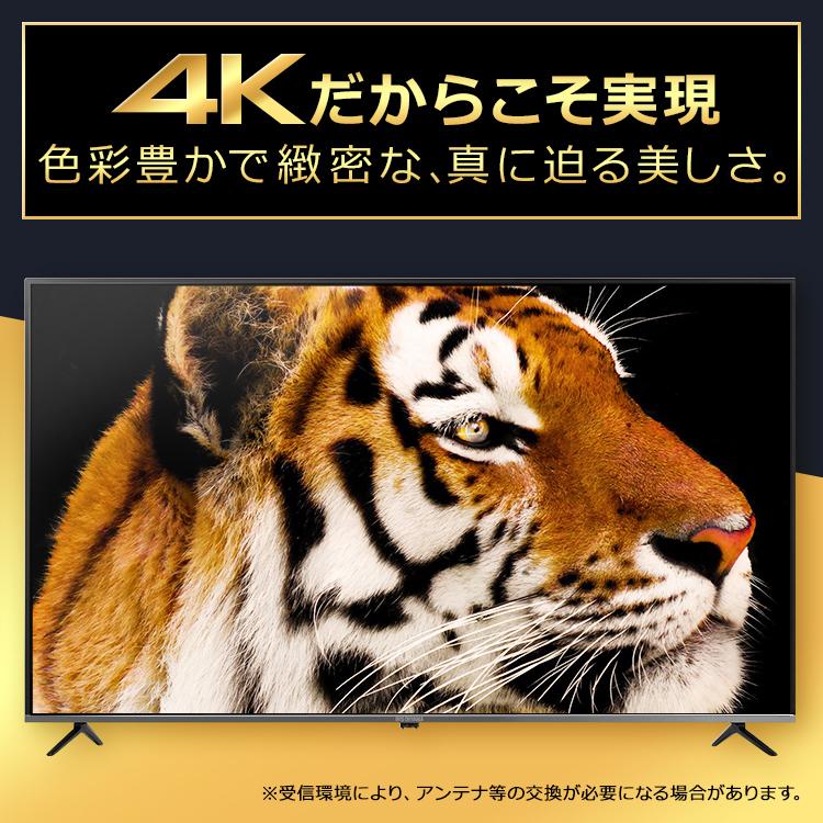 IRIS OHYAMA（アイリスオーヤマ） 4Kチューナー内蔵液晶テレビ 65V型