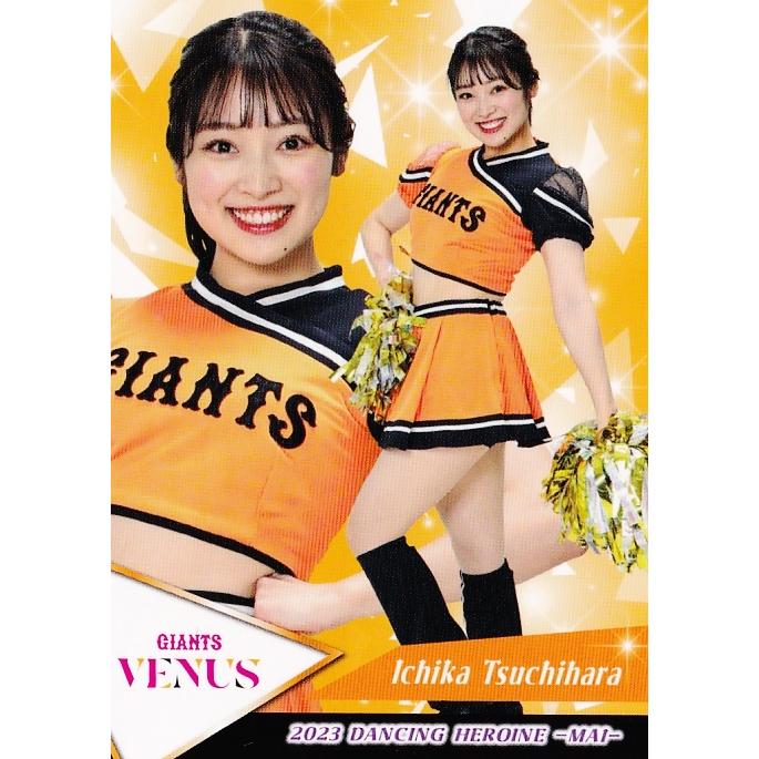 74 【土原一花 (巨人/VENUS)】BBM プロ野球チアリーダーカード2023 -舞