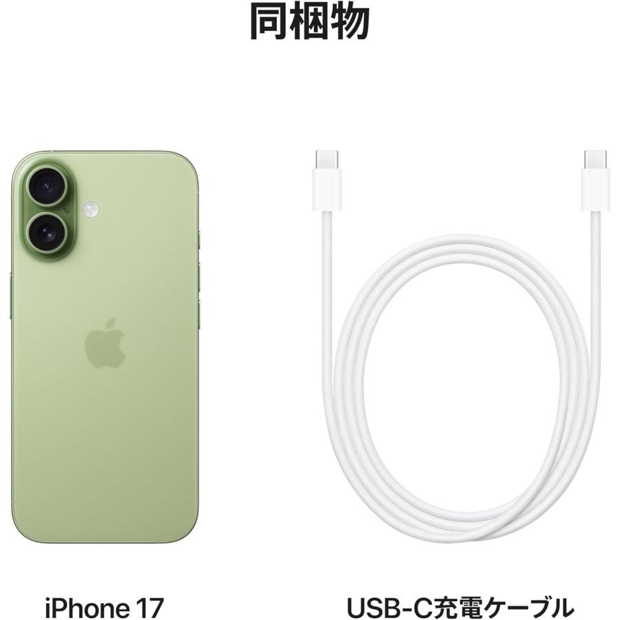 iPhone ☆Appleストア版 国内SIMフリー iPhone17 256GB セージ MG6C4J