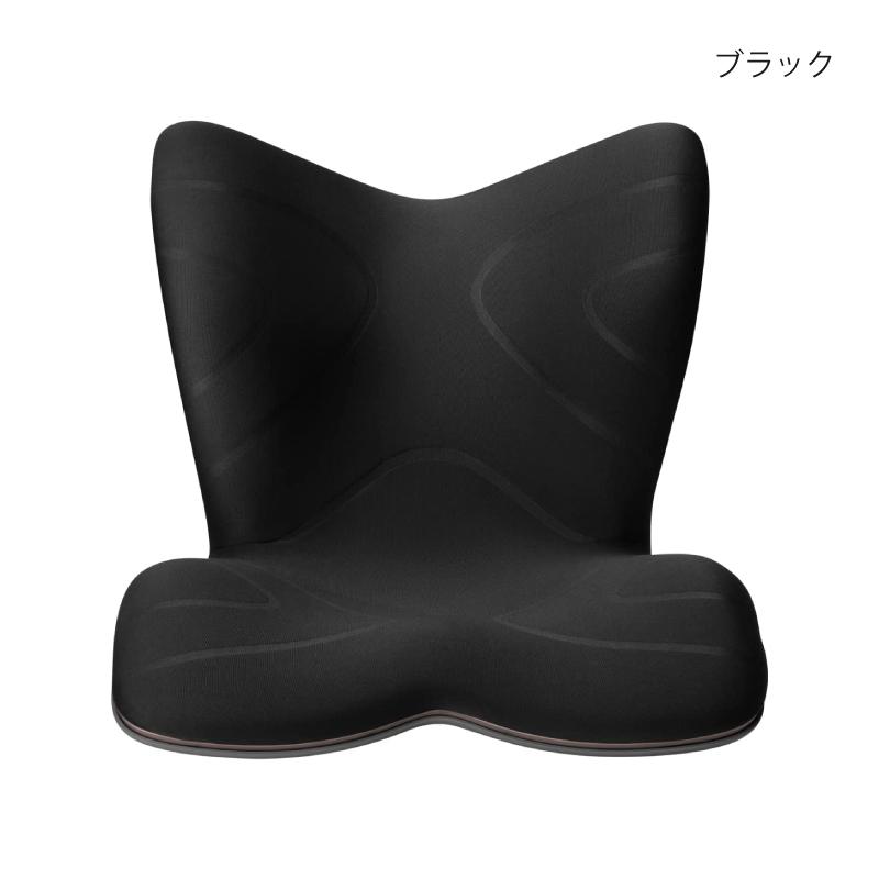 Style（スタイル） 爆買 姿勢ケアシート Style PREMIUM プレミアム MTG
