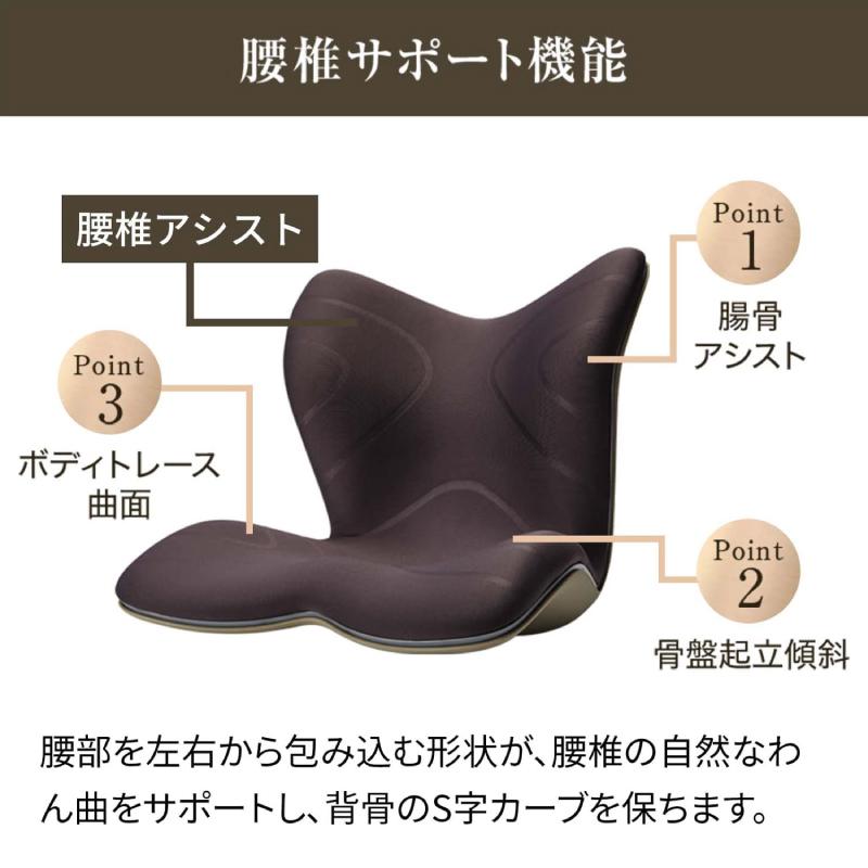 Style（スタイル） 爆買 姿勢ケアシート Style PREMIUM プレミアム MTG