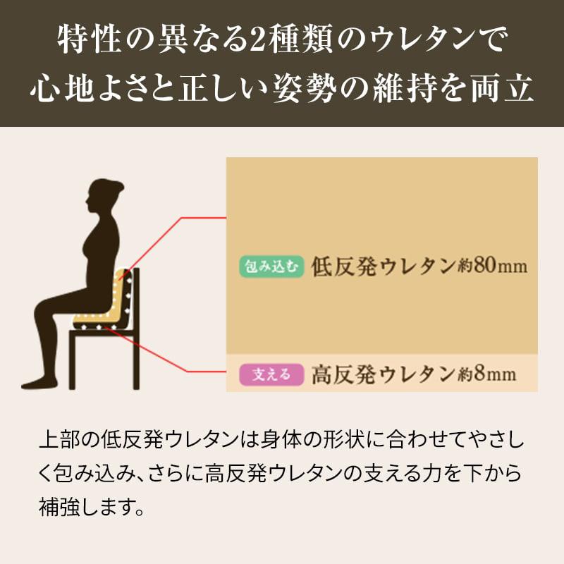 Style（スタイル） 爆買 姿勢ケアシート Style PREMIUM DX プレミアム