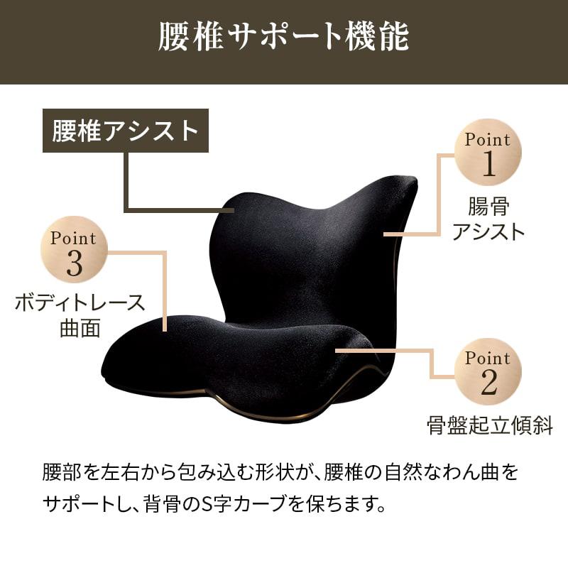 Style（スタイル） 爆買 姿勢ケアシート Style PREMIUM DX プレミアム
