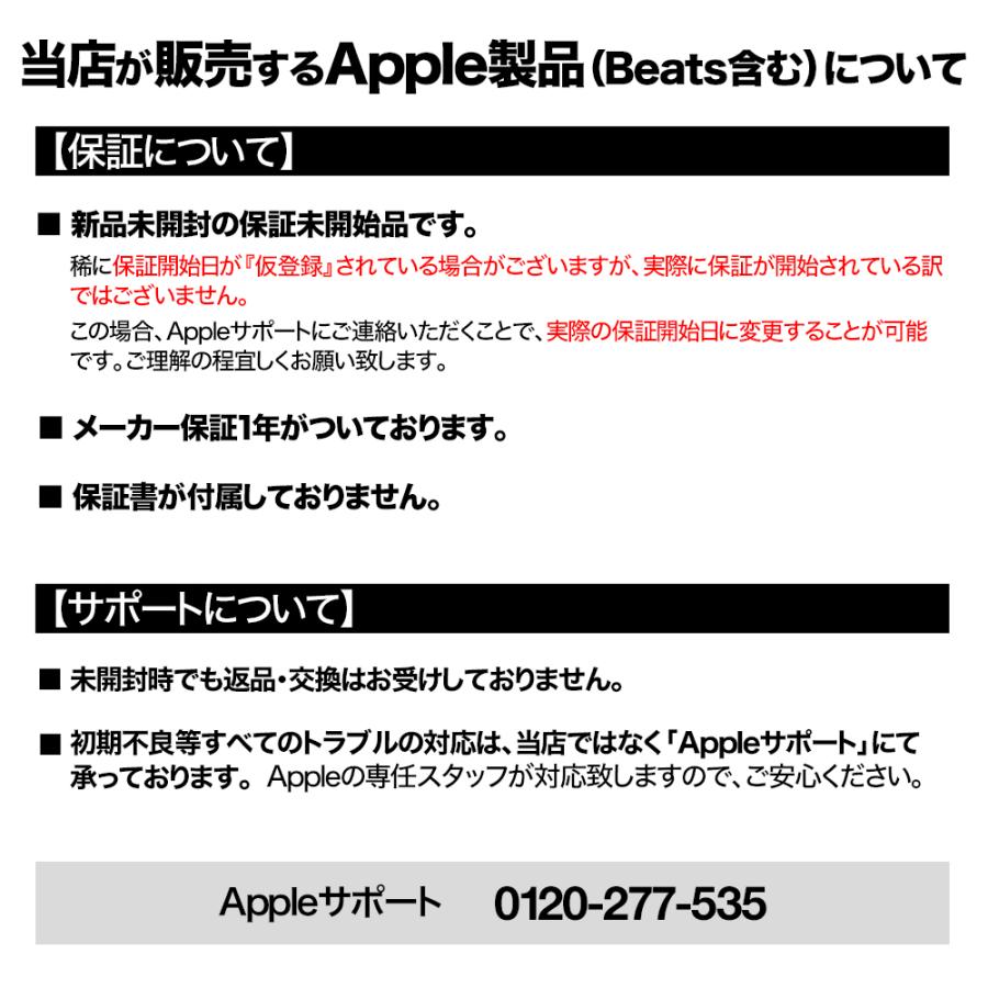 Apple Apple Apple Pencil アップルペンシル （USB-C） MUWA3ZA/A