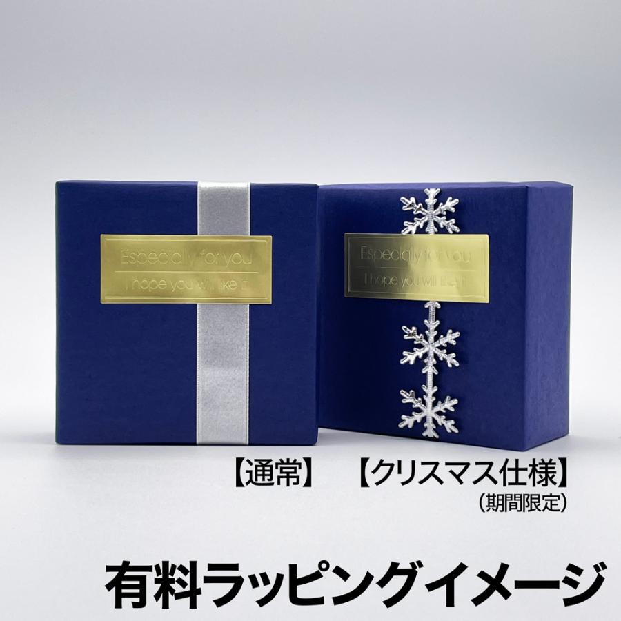 Apple アップル 純正 AirPods 第3世代 エアポッズ 3 エアーポッズ