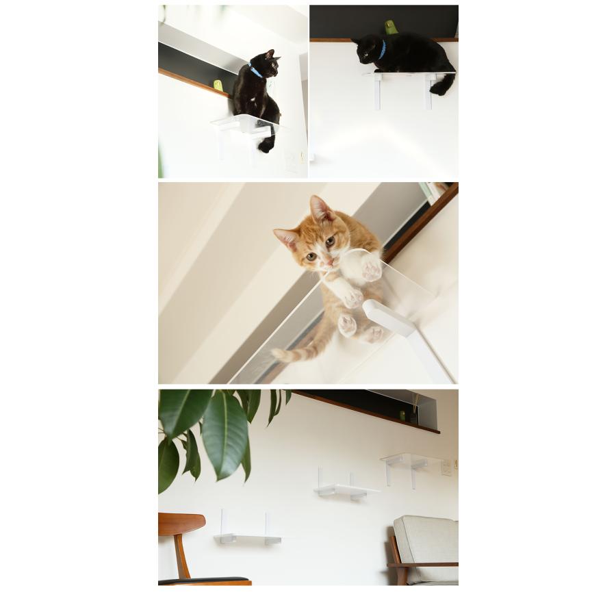 animacolle アニマコレ キャットステップ 白 クリア キャットウォーク