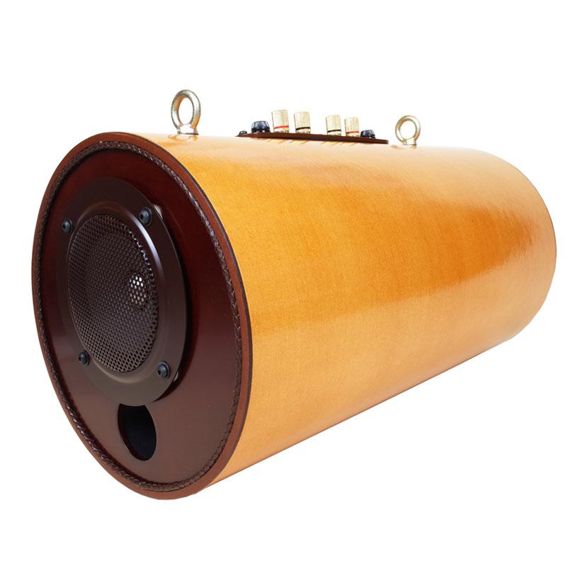 エムズスピーカー MS1001-Pro 波動スピーカー エムズシステム 無指向性