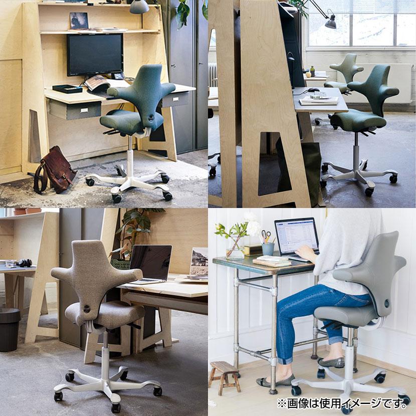 Garage（ガラージ） CP8106-150 HAG CAPISCO ホーグ カピスコ 布張り