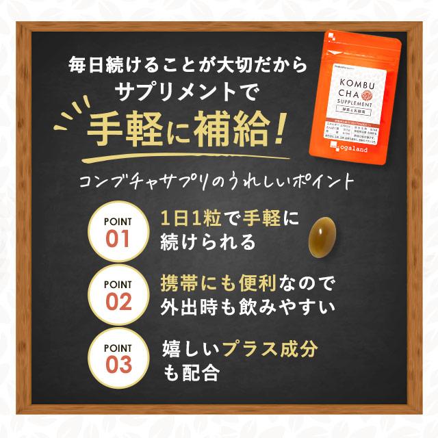 ogaland（オーガランド） コンブチャ （約6ヶ月分） 発酵 サプリメント