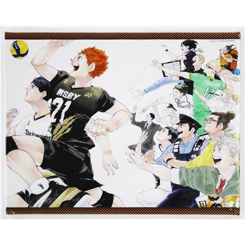 ハイキュー フルカラーBIGアートボード 45巻表紙 烏野高校卒業生