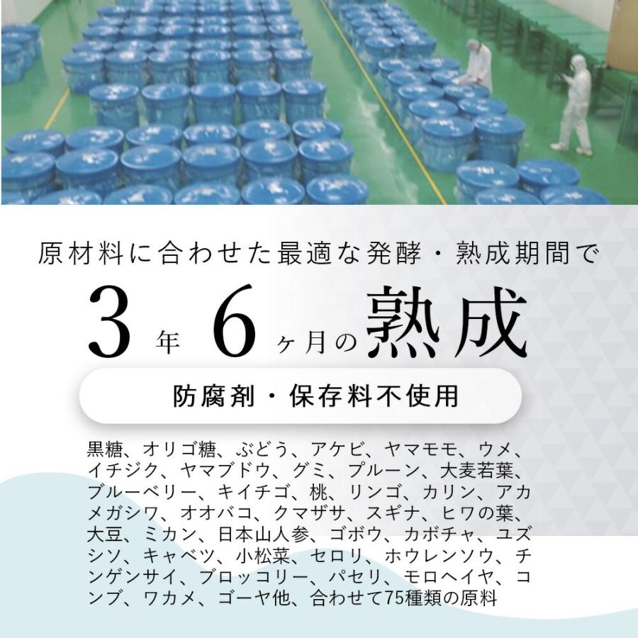 IZM BURN イズム バーン アセロラ味 1000mL【 6本セット 】 5倍希釈