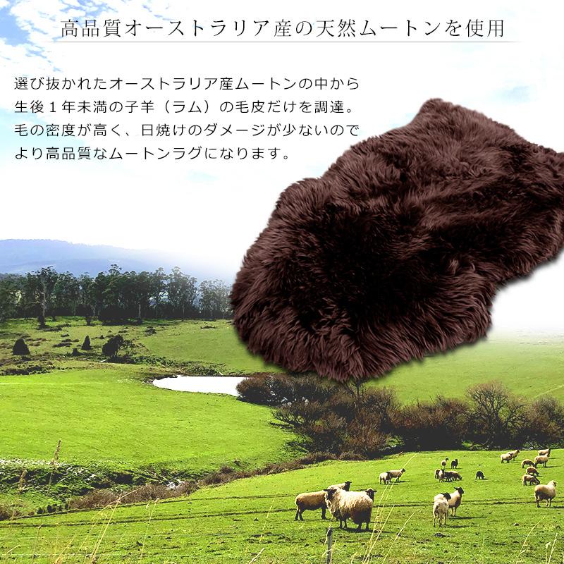 ムートンラグ 本物 天然 1匹 キャンプ 長毛 ラグ ラグマット 高品質
