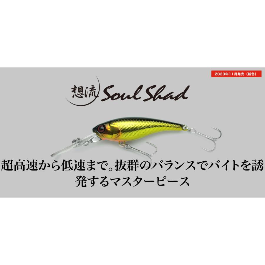 JACKALL（ジャッカル） ソウルシャッド68SP 9g/68mm 2024新色追加