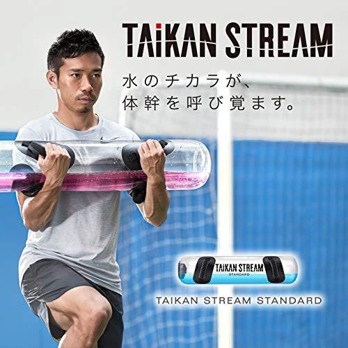 MTG 体幹トレーニングギア TAIKAN STREAM(タイカン ストリーム