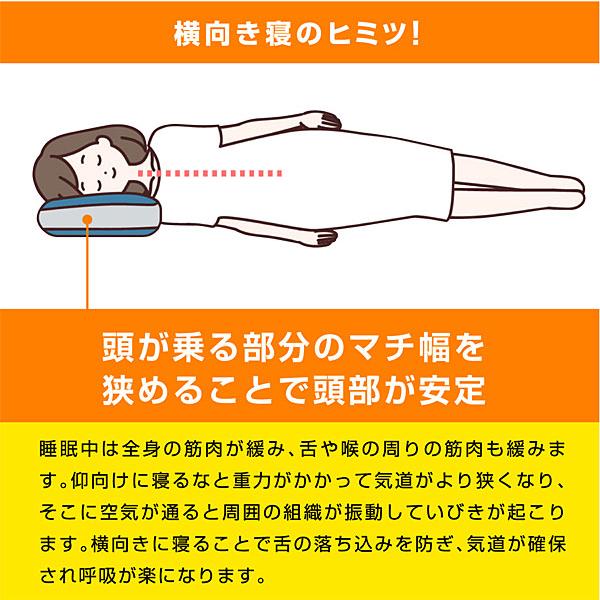 フランスベッド（FRANCEBED） スリープバンテージトラベル いびき対策