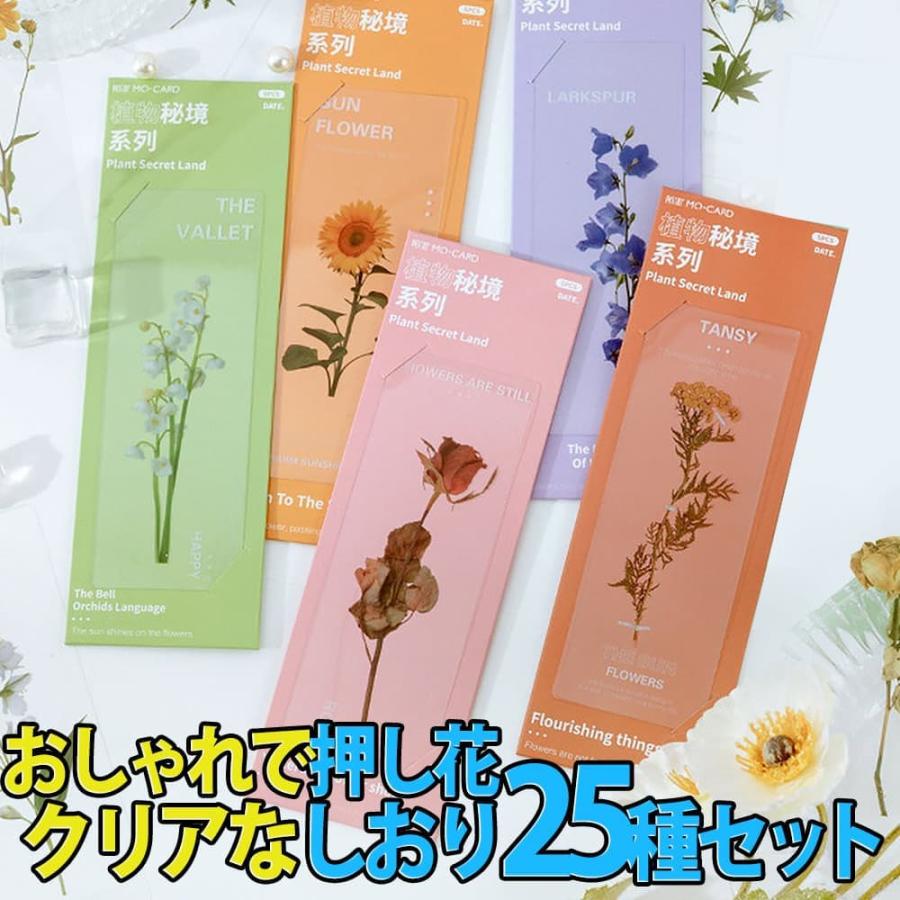 しおり ブックマーク25枚セット 押し花 透明 クリア 防水 英字