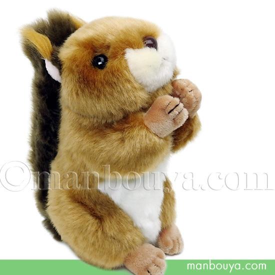 リス ぬいぐるみ 動物 キュート販売 CUTE 日本リス S 17cm : まんぼう