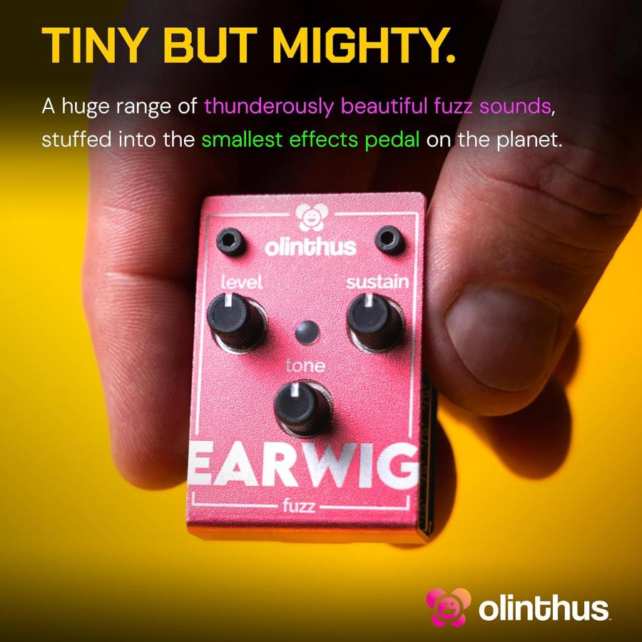 Olinthus オリンサス エフェクター ファズ Earwig [入出力用ブレイク