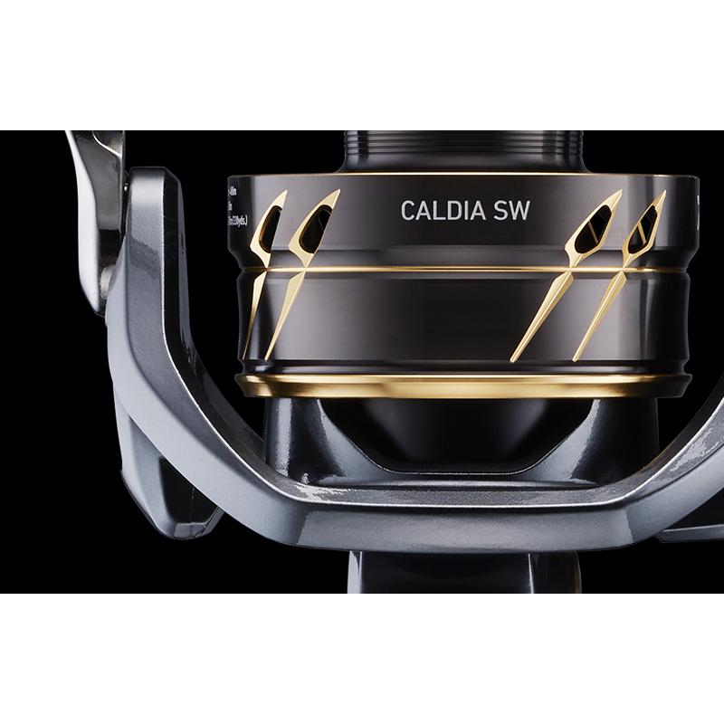 DAIWA（ダイワ） 22 カルディア SW 6000D-H スピニングリール DAIWA