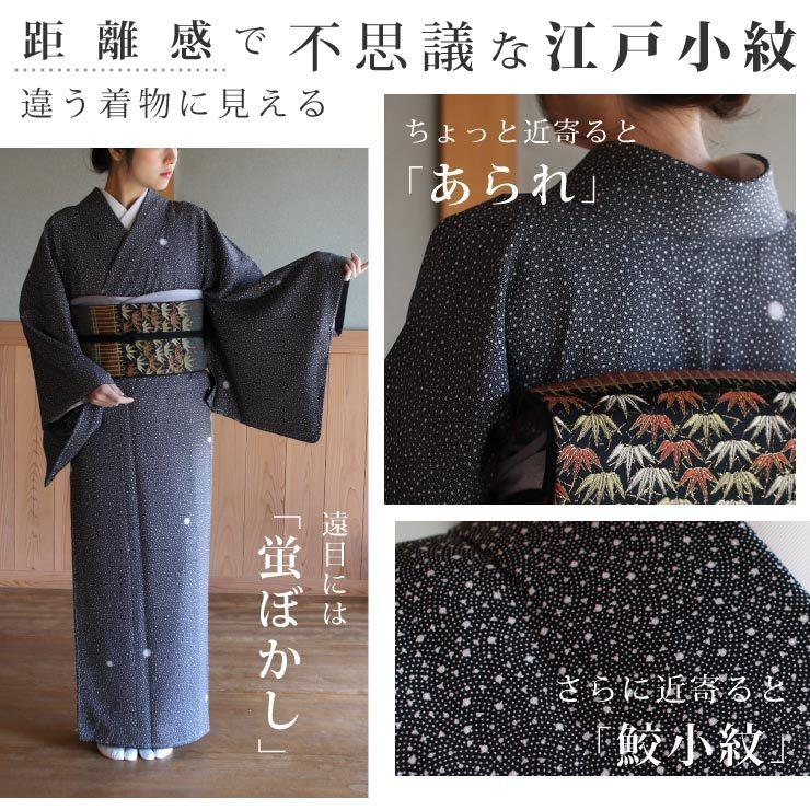 洗える着物 江戸小紋 単衣 新作 街着屋 創作 鮫小紋 霰 蛍ぼかし 黒