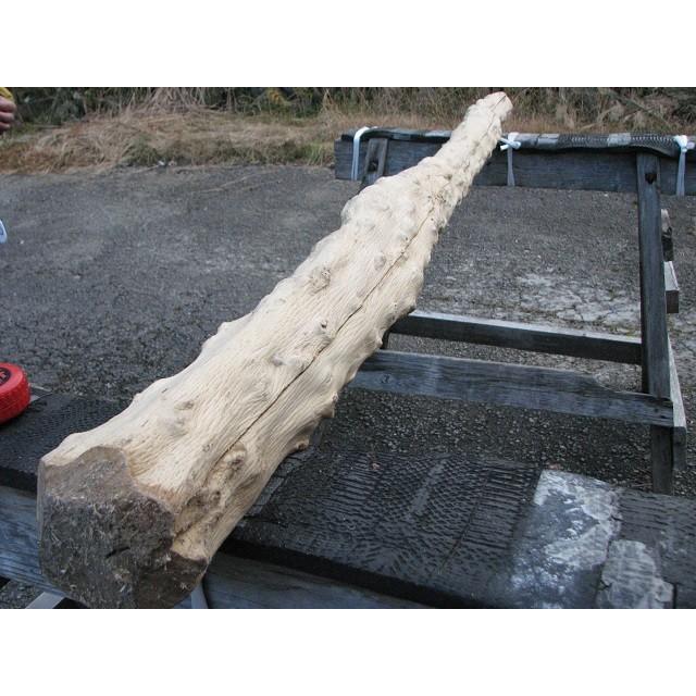 変木 モミジ 1820x82~91~97 : めいぼくや webshop - 通販 - Yahoo