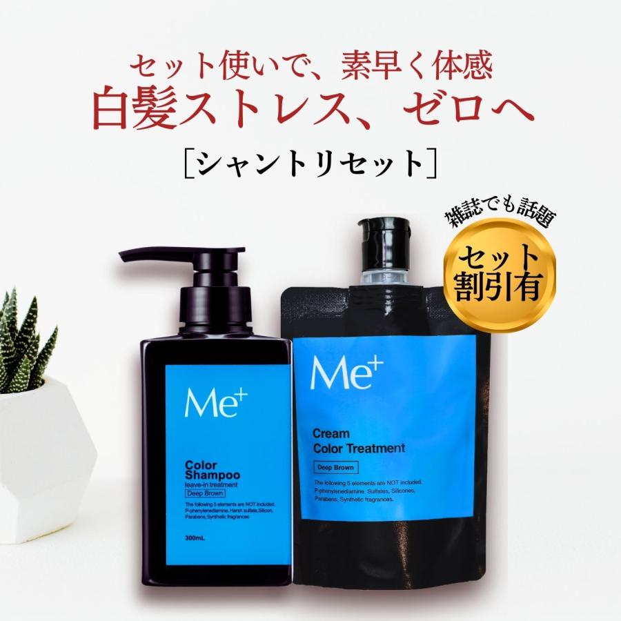 セット割引☆460円OFF／ 送料無料 人気 白髪染め シャンプー カラー