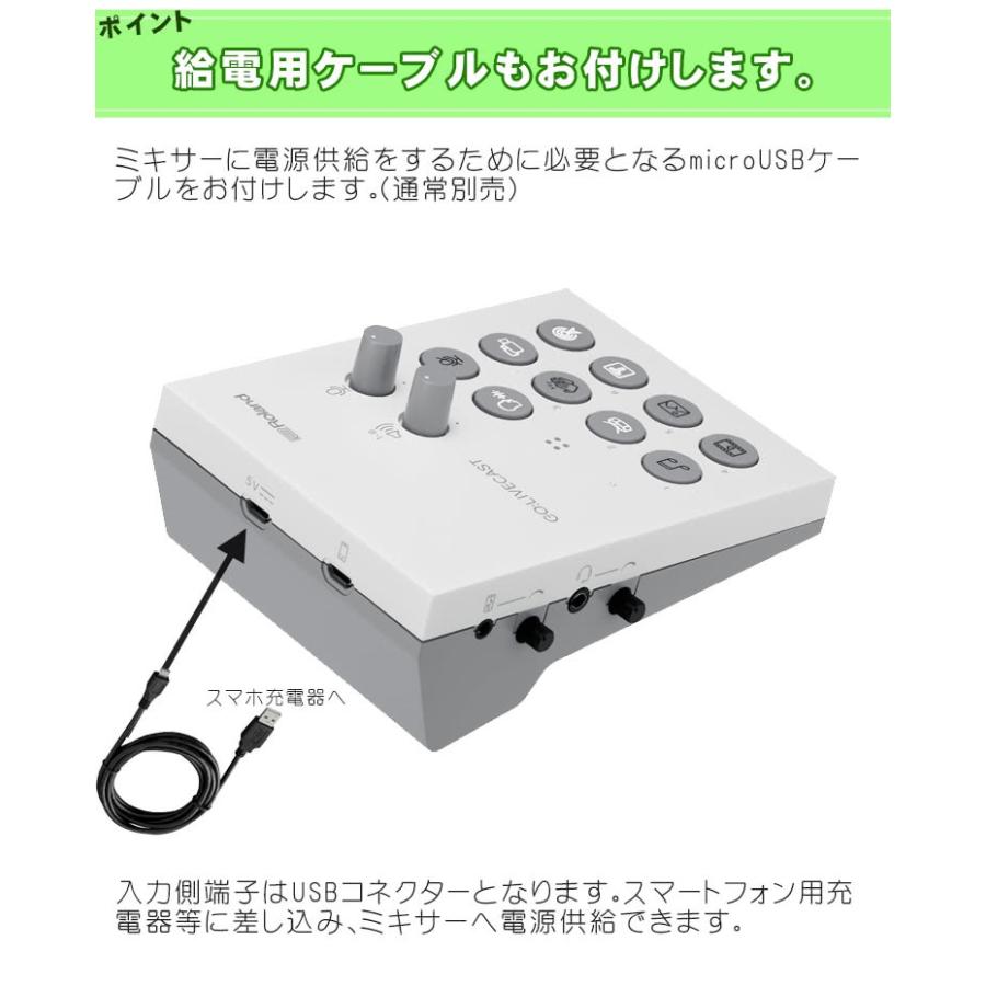 ローランド（Roland） Roland GO LIVECAST インターネット配信用