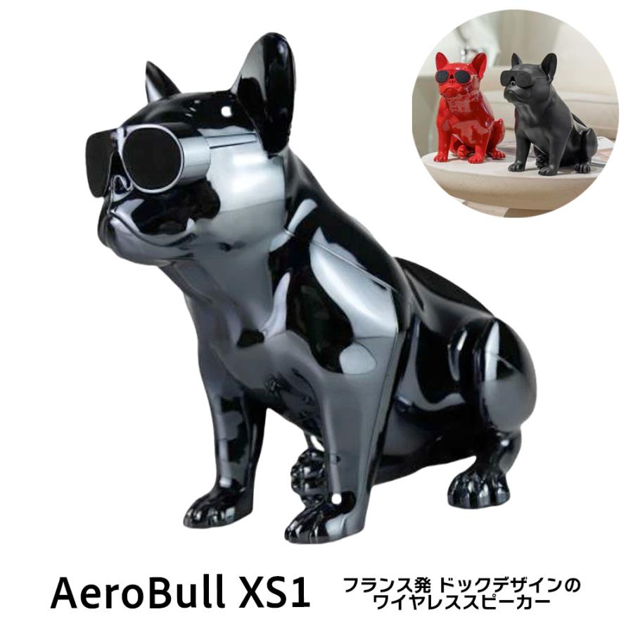 Aerobull ワイヤレス スピーカー XS1 (クロームブラック) 【国内正規品