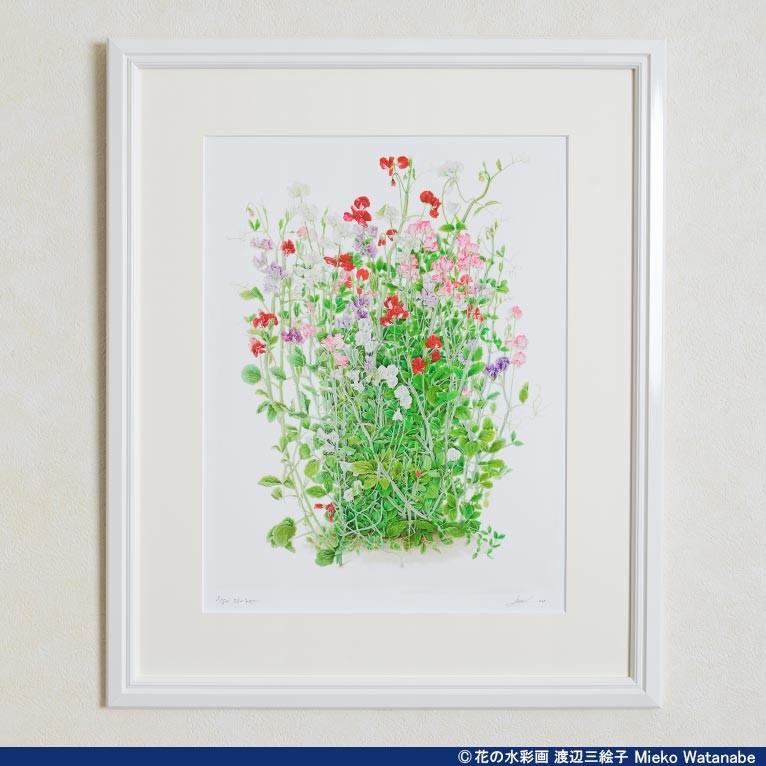 渡辺三絵子 花の水彩画 ジークレー版画(複製画)「スイトピー」額装M