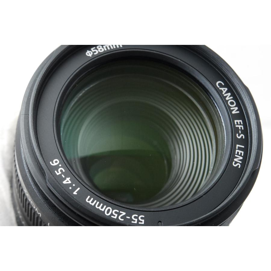 EF-S Canon キヤノン 55-250mm F4-5.6 IS 手ぶれ補正付き : 山ウサギ