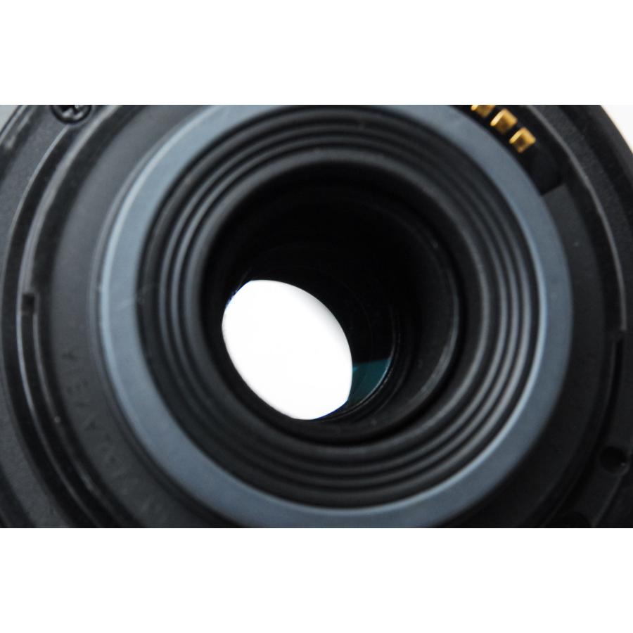 EF-S Canon キヤノン 55-250mm F4-5.6 IS 手ぶれ補正付き : 山ウサギ