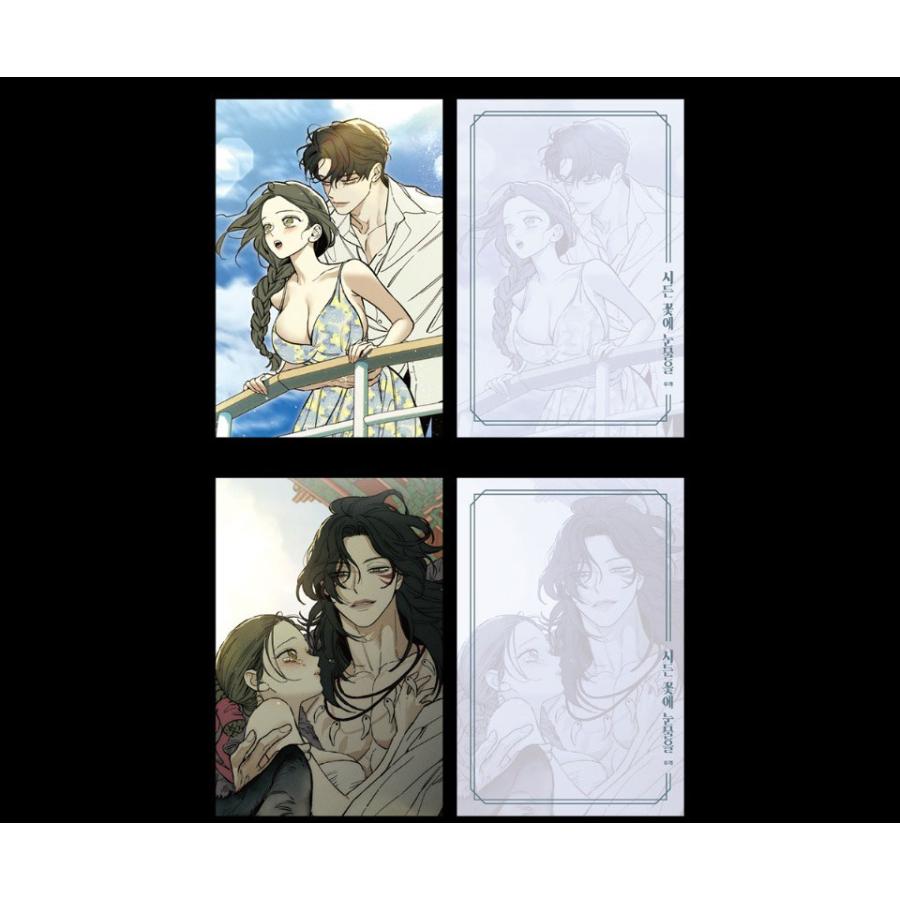 枯れた花に涙を ポストカード イラストカード ハガキ 韓国グッズ