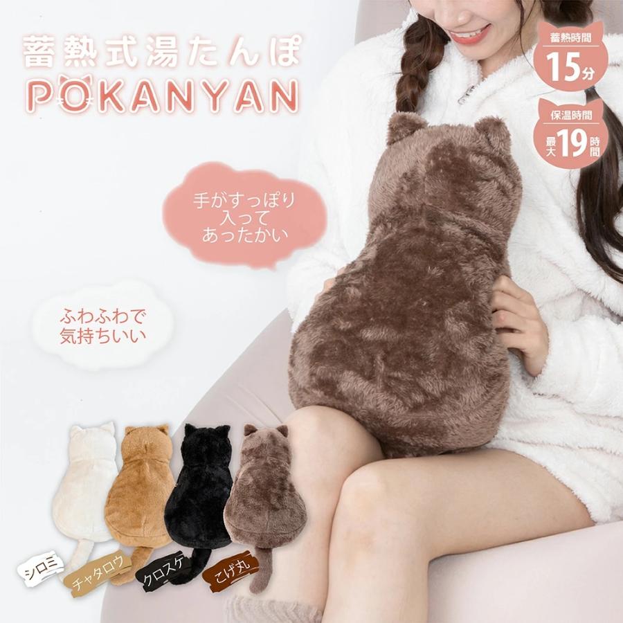 蓄熱式湯たんぽ POKANYAN ぽかにゃん コードレス 15分蓄熱 最大19時間