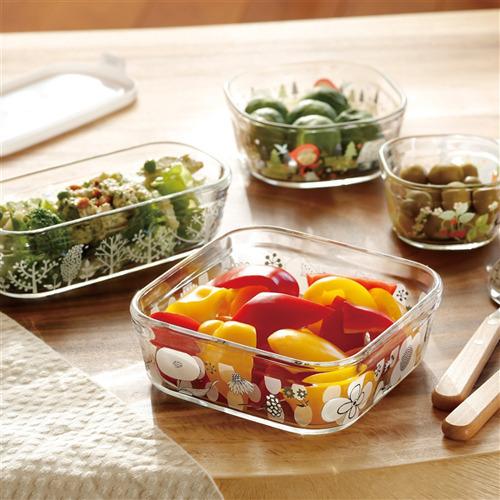 iwaki シンジカトウ パック & レンジ システムセット・ミニ Petit bois