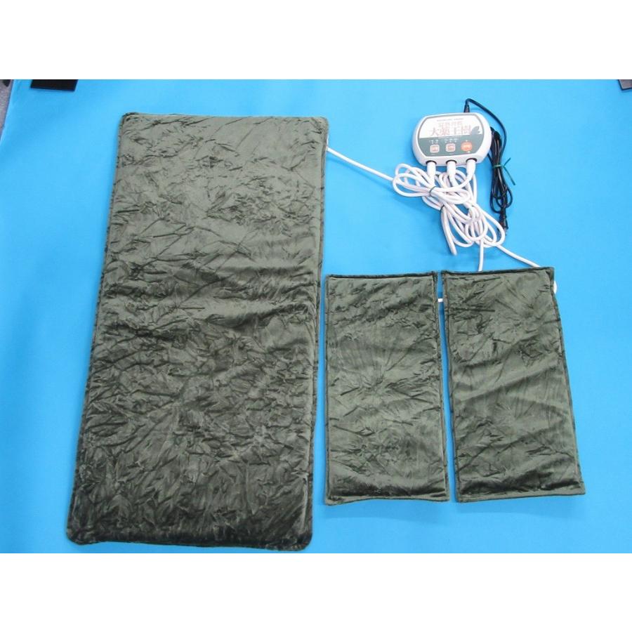 温熱習慣 大薬王樹 3年保証 : 健康家電ショップ - 通販 - Yahoo