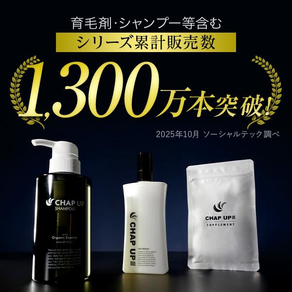 チャップアップ（CHAP UP） 公式 濃密泡 シャンプー 300ml 2本 メンズ