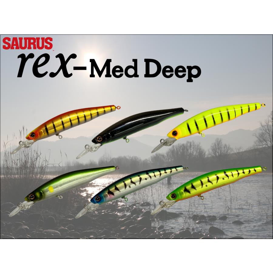 New!】 レックス・ミディアムディープ 9cm : SAURUS Direct Shop
