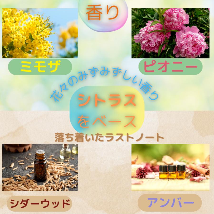 SEE/SAW ルベル シーソー B (バランス) シャンプー 800ml