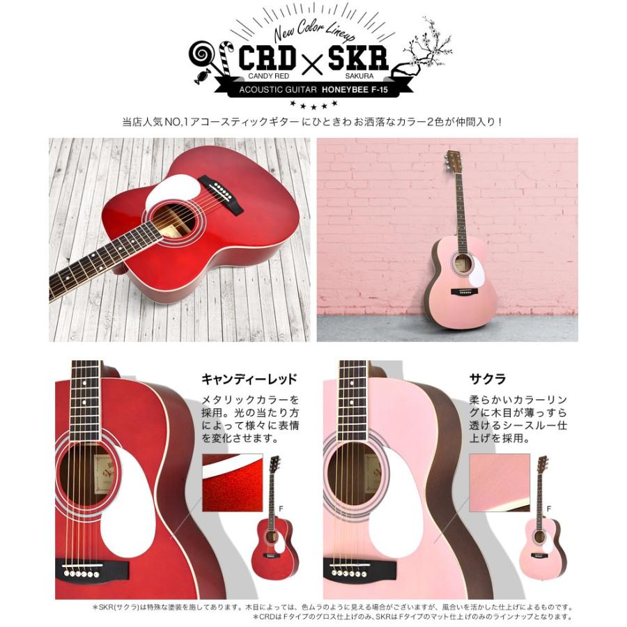 アコースティックギター リミテッドセット W-15.F-15〔初心者セット