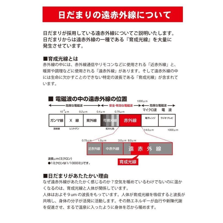 ポイント2倍付【予約販売・納期約1週間】遠赤王 遠赤外線 ボディー