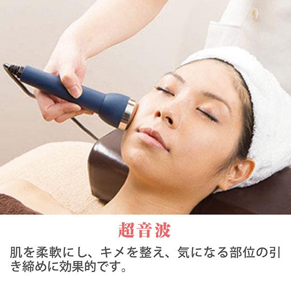 複合美顔機 SO-550 ソニア複合器(5in1) イオン導入 超音波 吸引