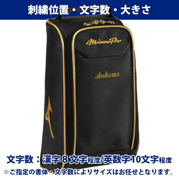 Mizuno Pro [名入れ刺繍可]ミズノプロ MIZUNOPro シューズケース 小型