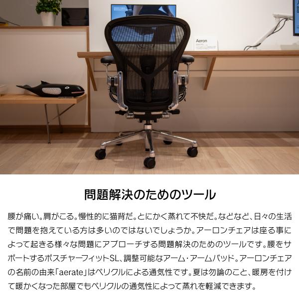 Herman Miller（ハーマンミラー） 即納在庫有 アーロンチェア リ