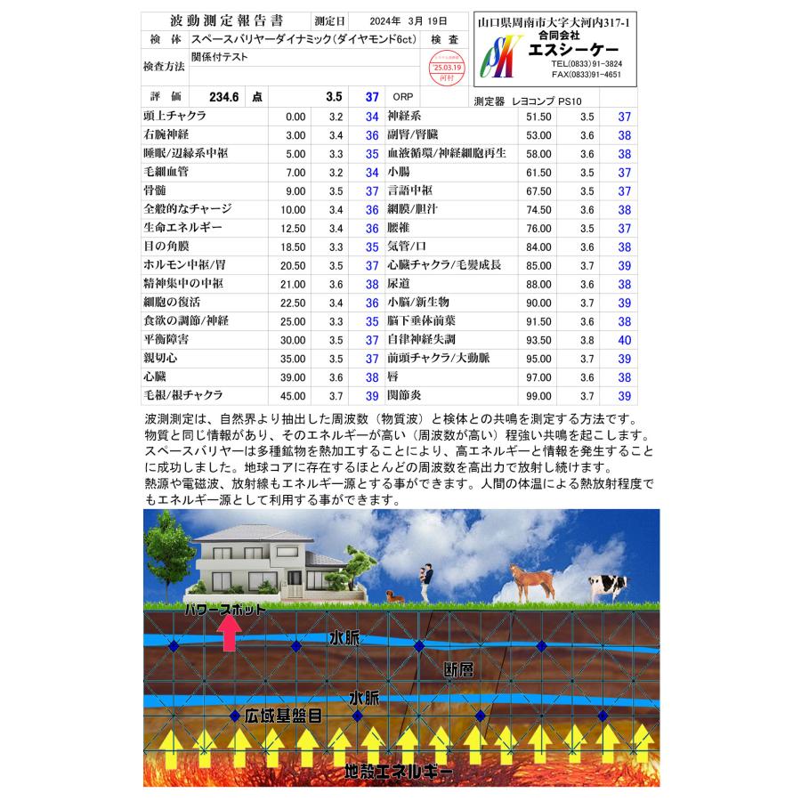 スペースバリヤーダイナミック〔1ct人口ダイヤモンドを6個使用して