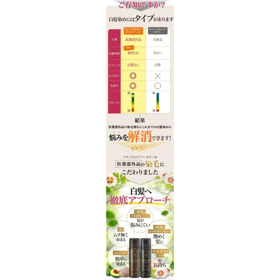 ヘアリシェ ナチュラルエアリーカラー ブラック HAIRICHE 公式