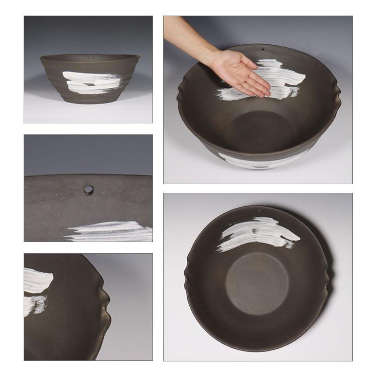 信楽焼 睡蓮鉢 メダカ鉢 おしゃれ めだか鉢 陶器 水鉢 ビオトープ