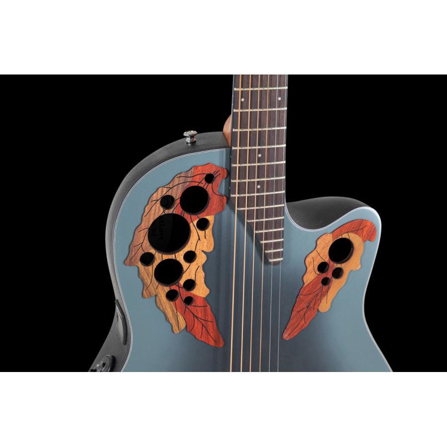 Ovation（オベーション） Ovation Celebrity セレブリティ CE44-RBB-G