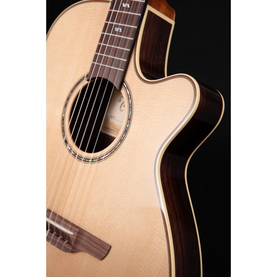Takamine タカミネ TSP10NCS エレガットギター ナイロン弦 : 島村楽器