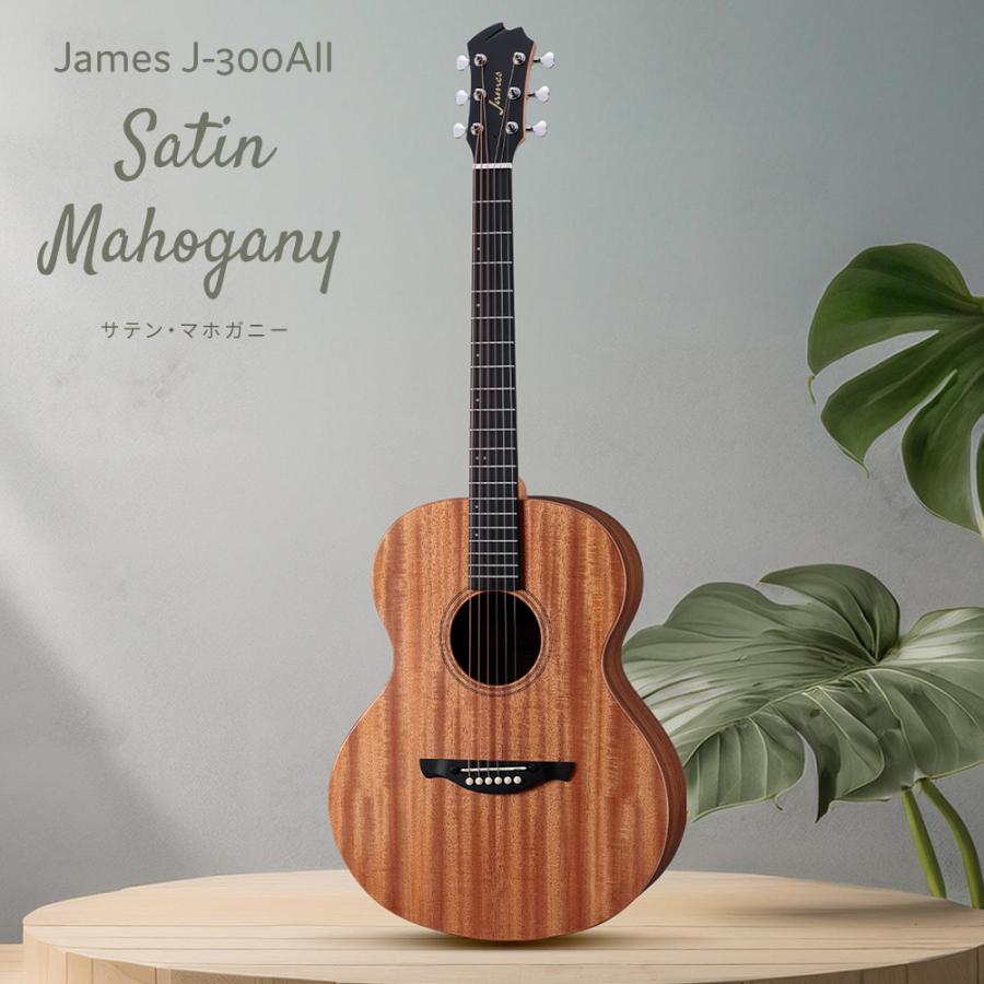 ジェームス（James） ギターを挫折したくないあなたへ J-300AII 超