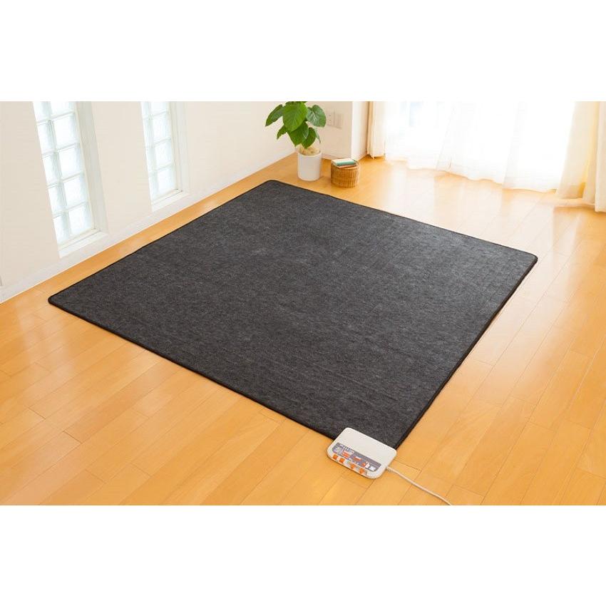 ゼンケン ホットカーペット 2畳タイプ本体のみ ZCB-20S 電磁波99